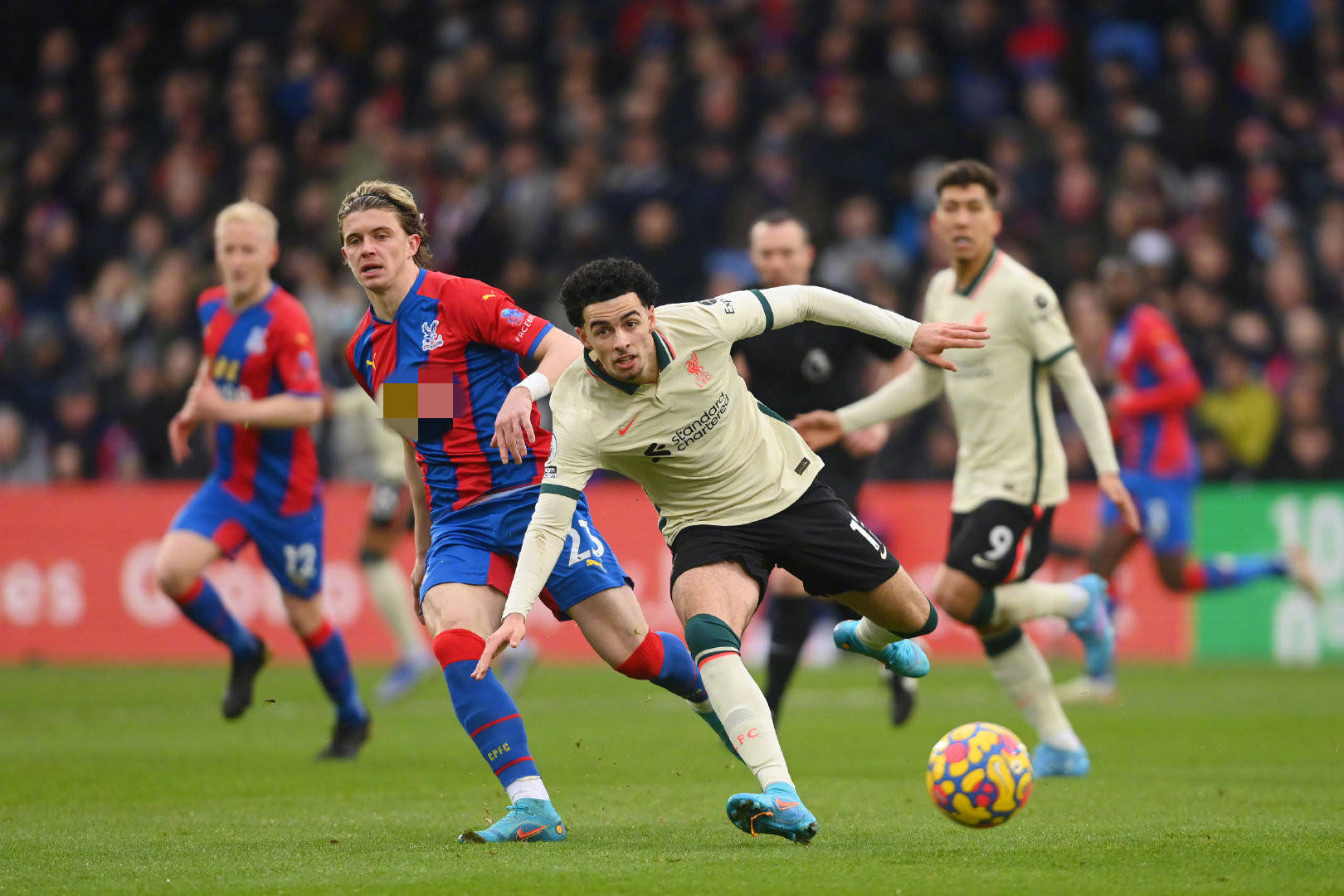 关注球员的 关注球员的